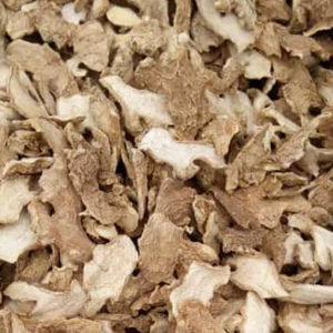 Ginger