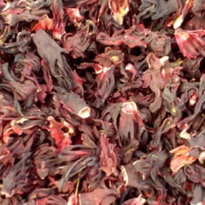 Hibiscus