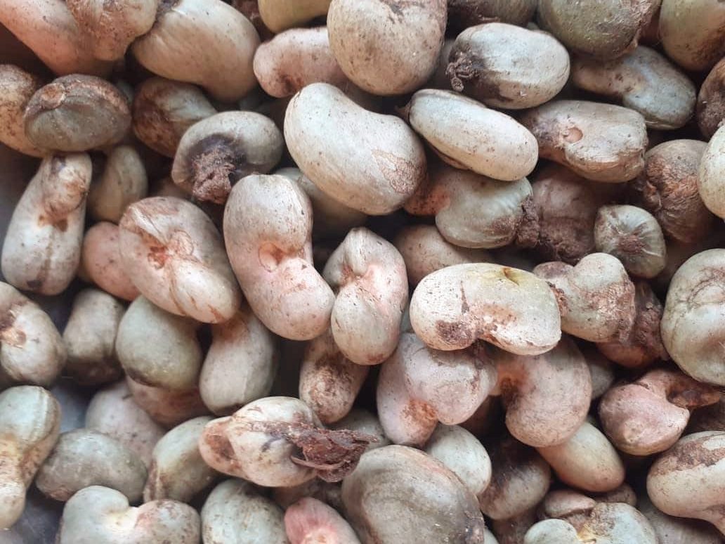 Cashew Nuts - TOSK Global