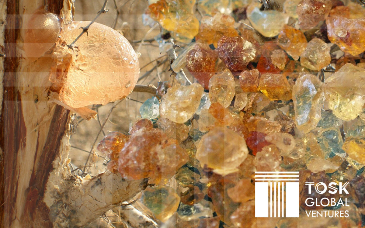 Gum Arabic - TOSK Global