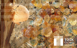 Gum Arabic - TOSK Global