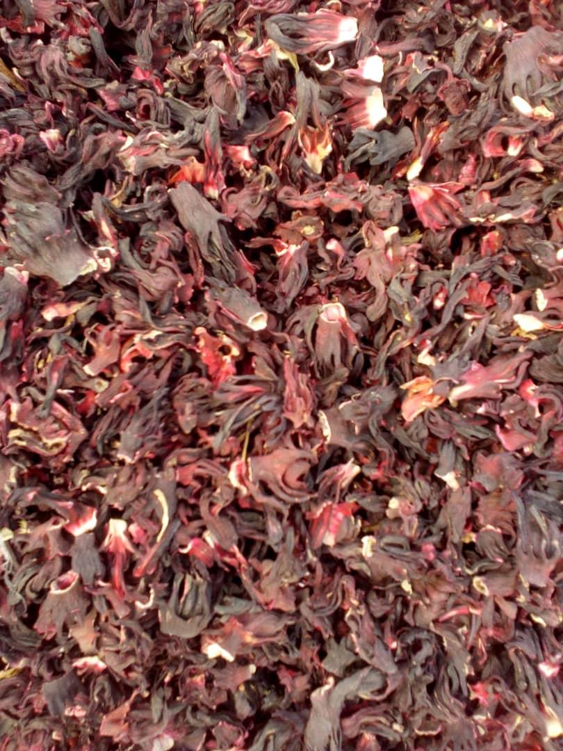 Hibiscus.jpeg