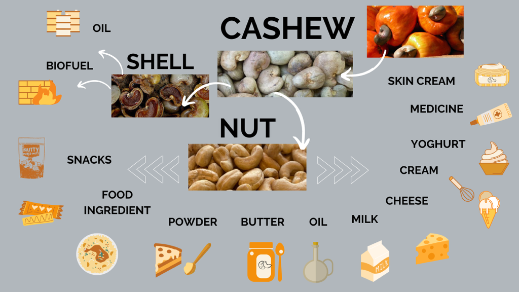 Cashew nuts and cashew shell products and uses