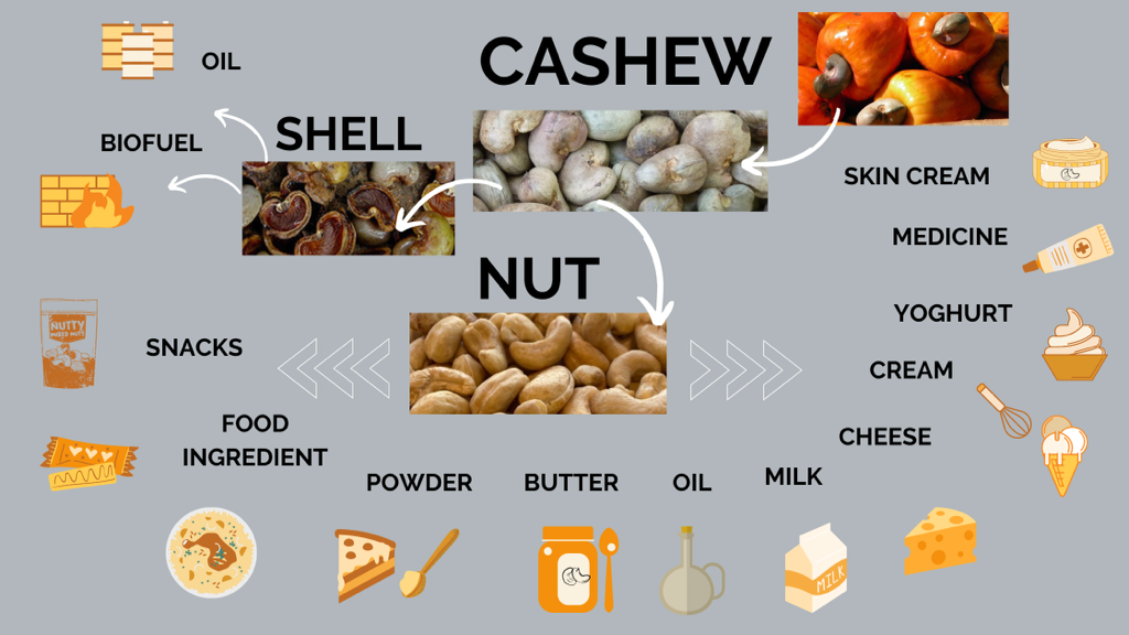 Cashew products