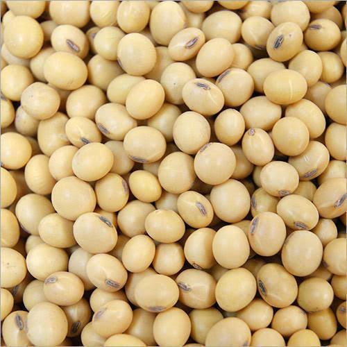 SOYA-BEANS-TOSK-GLOBAL-VENTURES.png