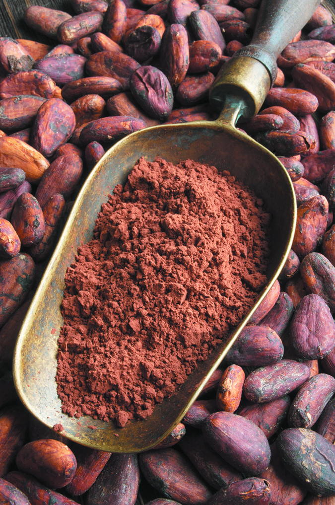 Cocoa powder, widely used for in the food industry.