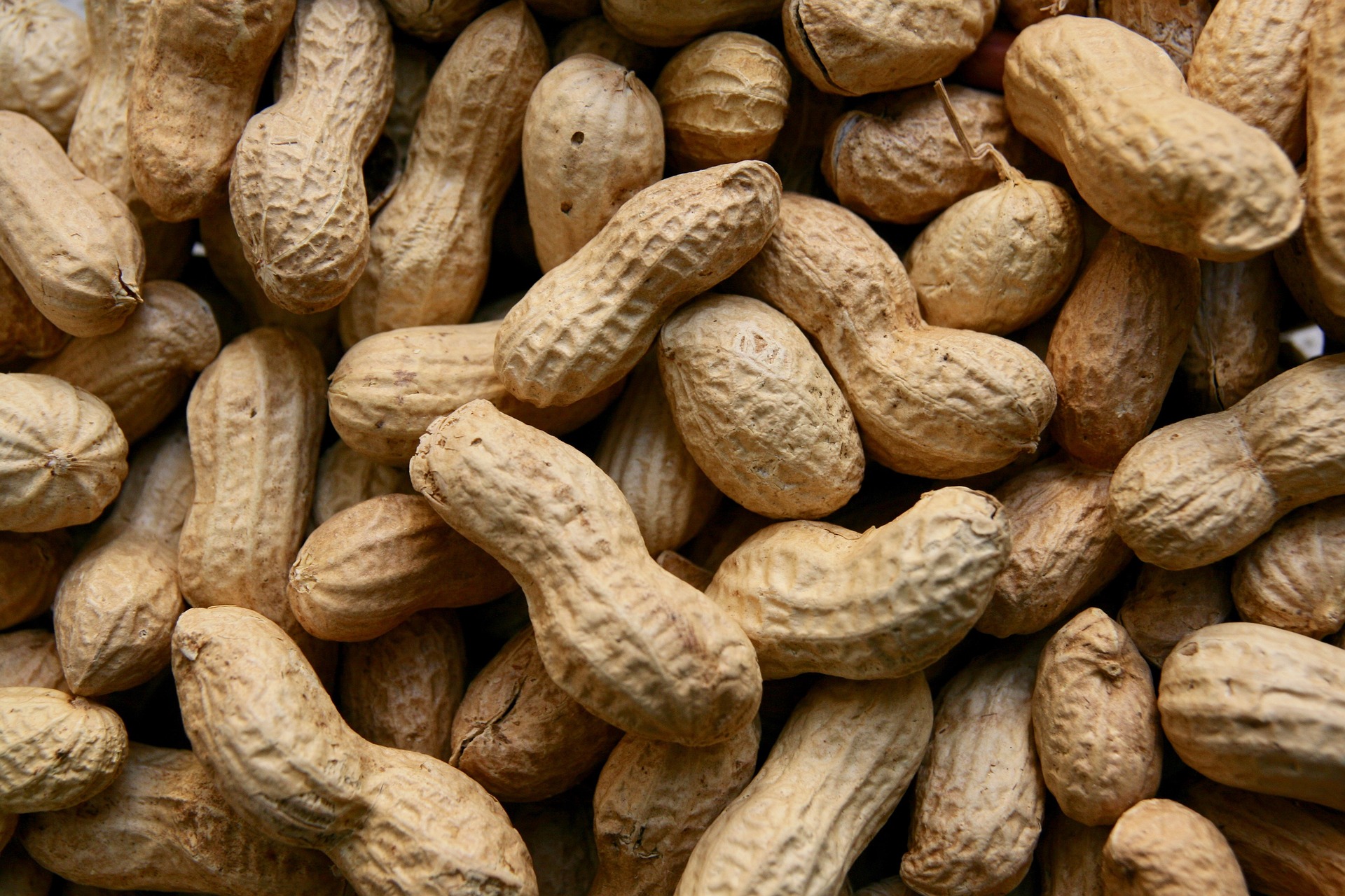 peanuts-3823362_1920.jpg