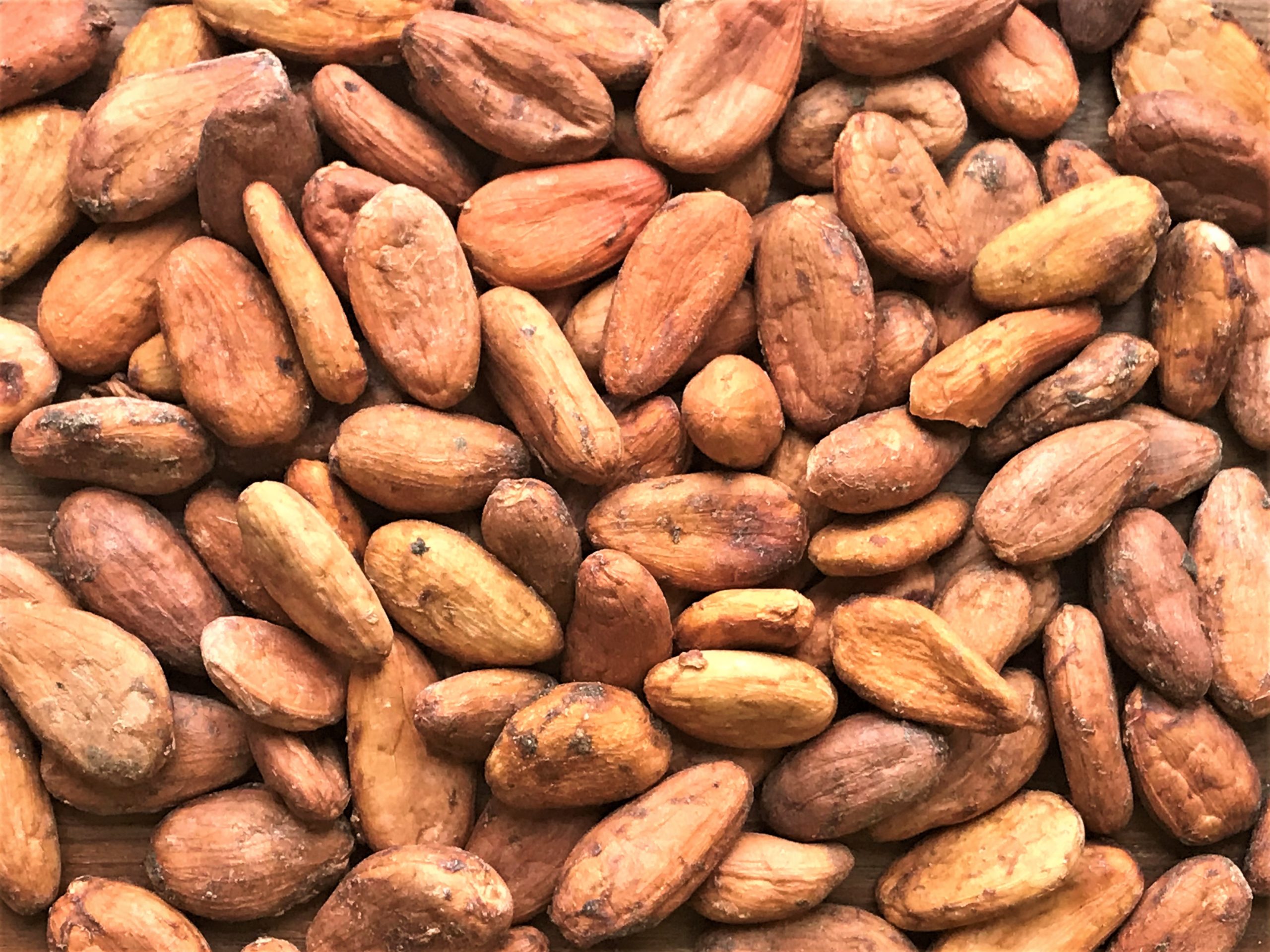 TOSK-GLOBAL-VNETURES-COCOA-BEANS-scaled.jpg